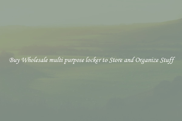Buy Wholesale multi purpose locker to Store and Organize Stuff