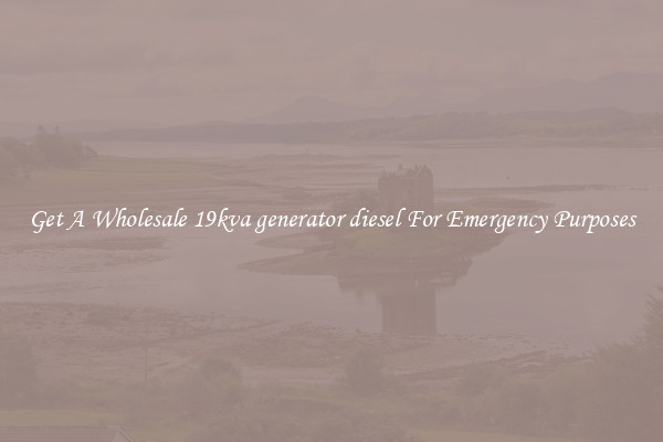 Get A Wholesale 19kva generator diesel For Emergency Purposes