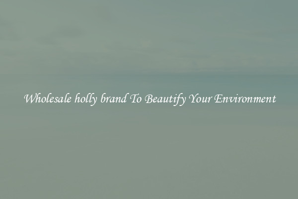 Wholesale holly brand To Beautify Your Environment
