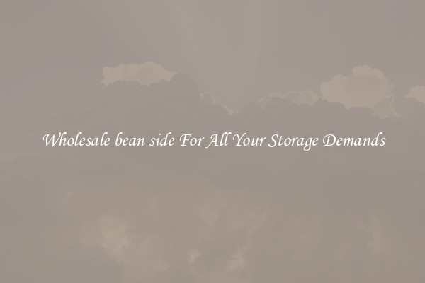 Wholesale bean side For All Your Storage Demands