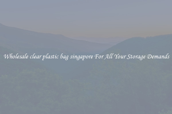 Wholesale clear plastic bag singapore For All Your Storage Demands