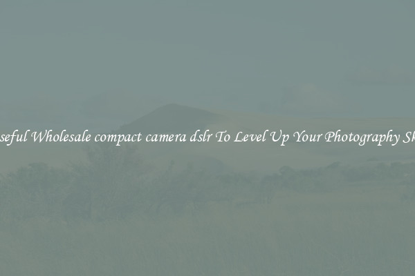 Useful Wholesale compact camera dslr To Level Up Your Photography Skill