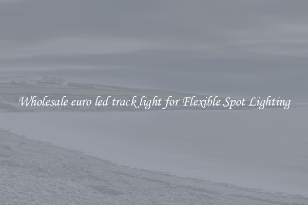 Wholesale euro led track light for Flexible Spot Lighting