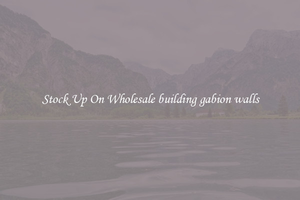 Stock Up On Wholesale building gabion walls