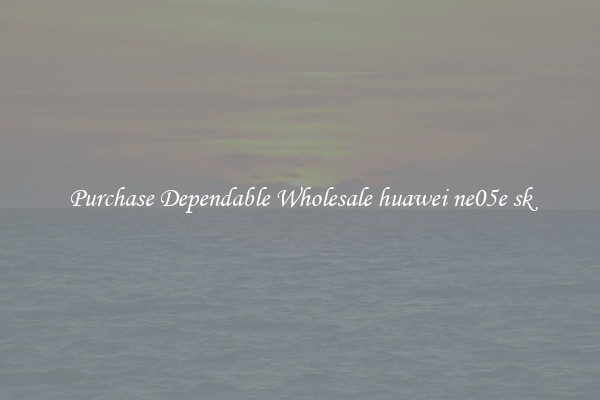 Purchase Dependable Wholesale huawei ne05e sk