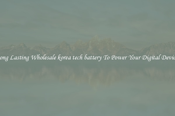 Long Lasting Wholesale korea tech battery To Power Your Digital Devices
