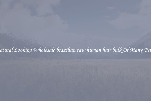 Natural Looking Wholesale brazilian raw human hair bulk Of Many Types
