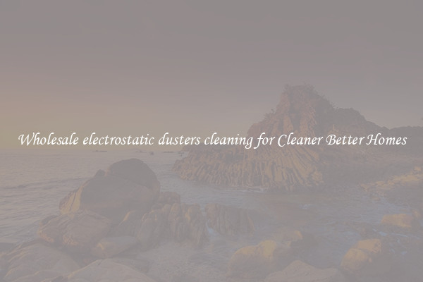 Wholesale electrostatic dusters cleaning for Cleaner Better Homes