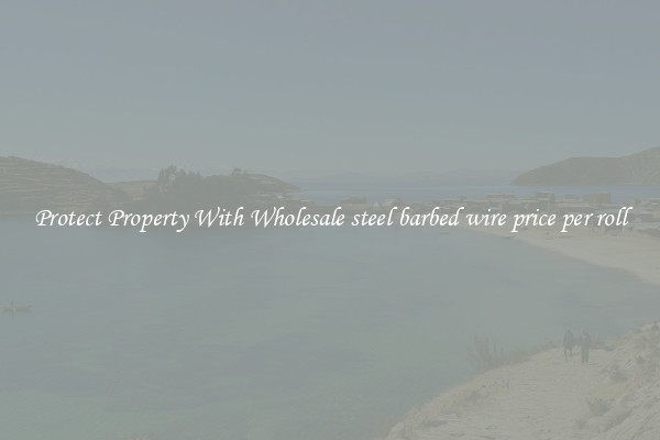 Protect Property With Wholesale steel barbed wire price per roll