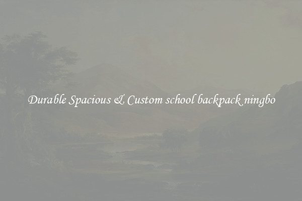 Durable Spacious & Custom school backpack ningbo