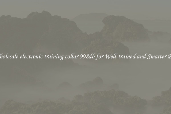 Wholesale electronic training collar 998db for Well-trained and Smarter Pets