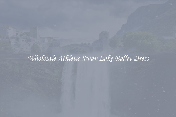 Wholesale Athletic Swan Lake Ballet Dress