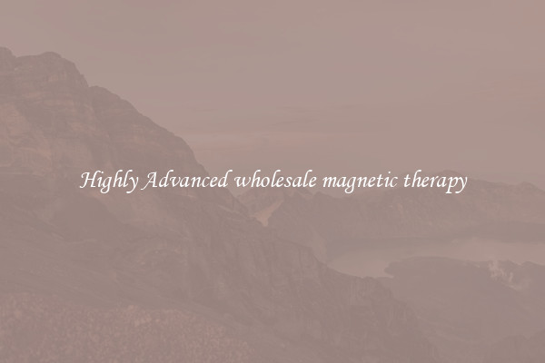 Highly Advanced wholesale magnetic therapy