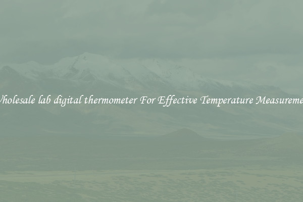 Wholesale lab digital thermometer For Effective Temperature Measurement